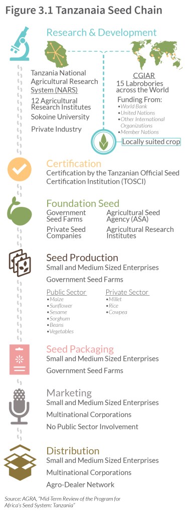 Seed Chain Flowchart